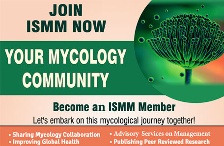 ISMM Membership Mega Drive!!!